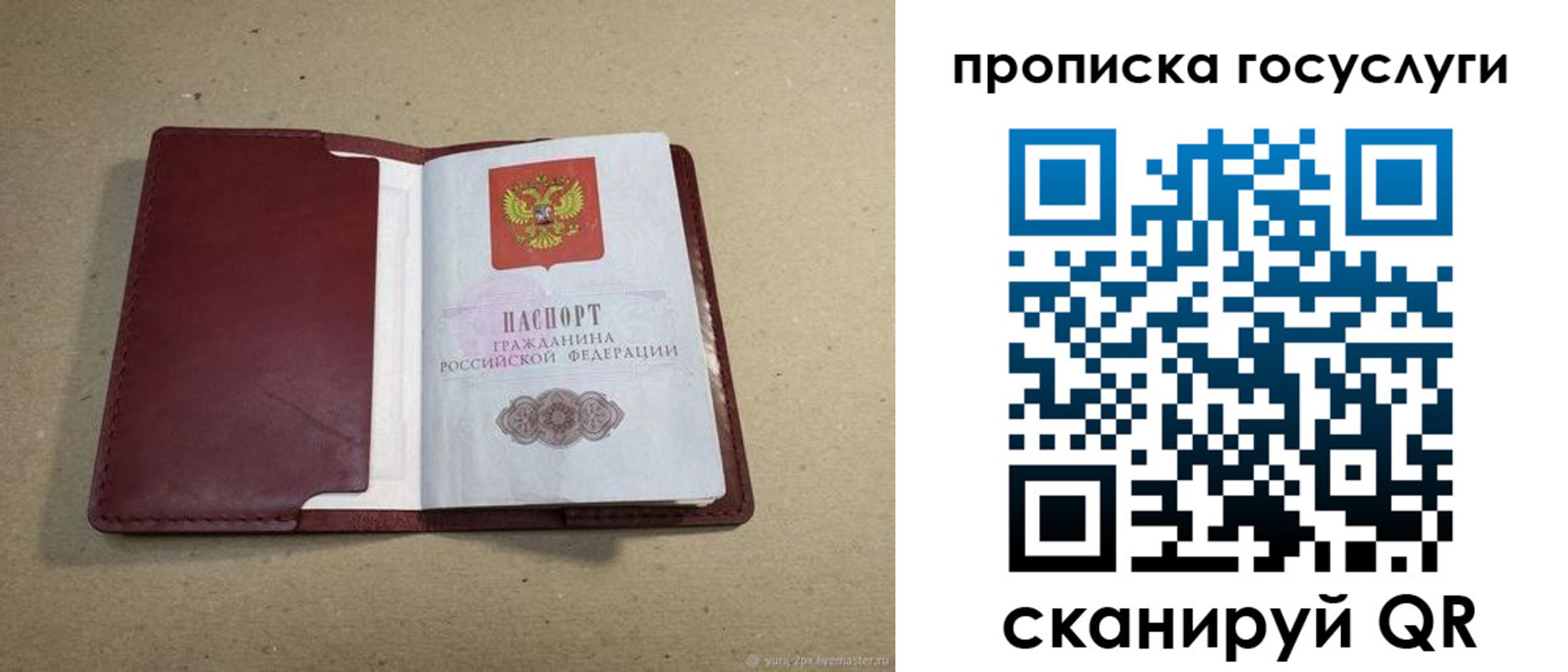 прописка поиск в Петровске
